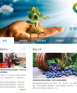 Chenhai Company Website