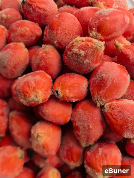 Œuf de phénix, fruits frais juste cueillis, uniformes et pleins, peau rouge, surface veloutée